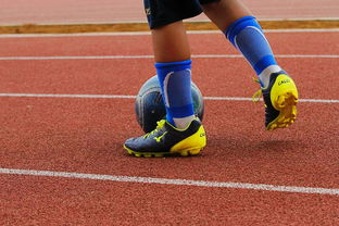 开云·体育全站登录地址-中国篮球青少年篮球发展政策实施现状与改进建议，青少年篮球培训现状的调查与分析