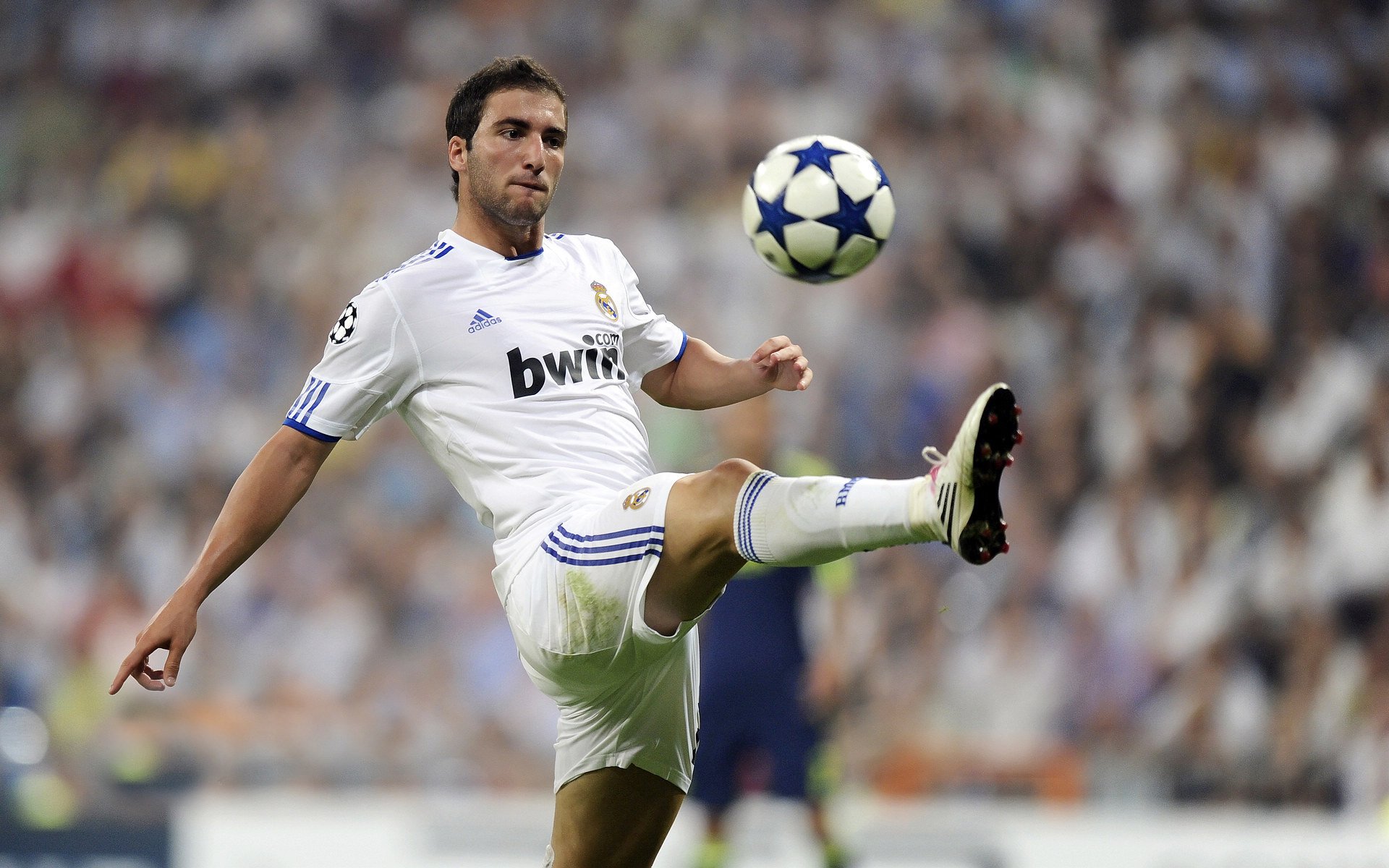 开云·体育官网-球员成长故事：从青训到国家队的转变，足球运动员青训